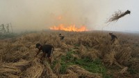 Sejumlah warga tengah berusaha membuat batas agar api yang membakar lahan tidak meluas di Desa Kayu Bawang, Kecamatan Gambut, Kabupaten Banjar, Kalimantan Selatan.
