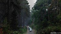 Itu dia pengalaman berkendara singkat dengan Sigra dengan transmisi manual di jalanan Bandung. Hari Jumat (11/10/2019) ini akan dilanjutkan dengan mencoba transmisi otomatisnya, pasti lebih asyik ya di jalanan macet. Dok. Daihatsu.