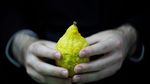 Mengintip Persiapan Perayaan Sukkot di Yerusalem