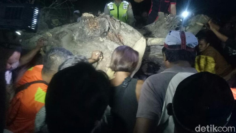 Korban Jiwa Pohon Timpa Mobil Bertambah Satu, Total 4 Orang Tewas Korban Jiwa Pohon Timpa Mobil Bertambah Satu, Total 4 Orang Tewas