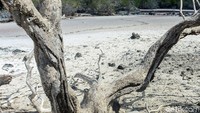Lokasi yang berada di dalam hutan membuat danau ini begitu sunyi. Kicauan burung terdengar jelas, langit biru bersih dan warna merah dari danaunya berpadu dengan hutan hijau di sekelilingnya.