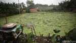 Area Resapan Air di Kawasan Tangerang Selatan Menyusut