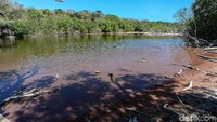 Meski harus menembus padang savana dan memasuki hutan untuk menuju ke danau tersebut, pemandangan di Danau Merah sungguh memesona. Menurut catatan, warna merah danau itu disebabkan oleh populasi algea yang berada di danau tersebut.