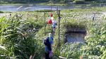 Foto: Seperti di Jepang, Padahal di Bantul