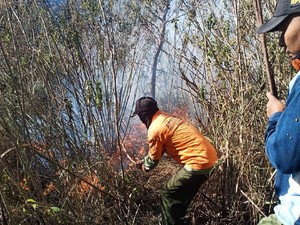 725 Hektare Hutan di Mojokerto Terbakar Sepanjang Musim Kemarau
