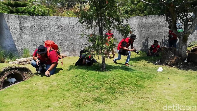 Berburu Foto Satwa Sambil Belajar Konservasi di IAPC 2019 Berburu Foto Satwa Sambil Belajar Konservasi di IAPC 2019