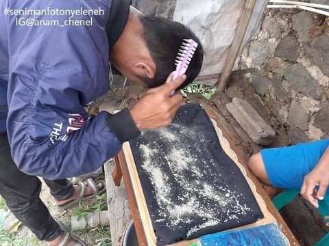 Heboh Ada Bisnis Jual Beli Ketombe Rp 65 Ribu/kg, Ini Faktanya!
