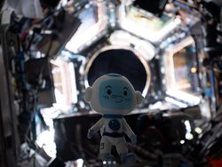 Latihan Intensif Astronot Arab Sebelum Lihat Bumi Bulat