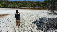Hamparan gumpalan garam yang padat terlihat di pinggir Danau Merah yang unik di pulau paling selatan Indonesia tersebut. Bagaimana, tertarik untuk berkunjung ke sana?