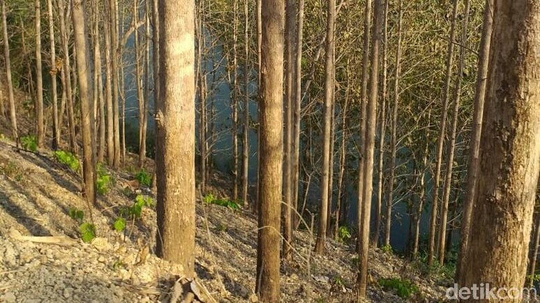Terpeleset Saat Cari Batu, Warga Malang Hilang di Sungai Brantas Blitar Terpeleset Saat Cari Batu, Warga Malang Hilang di Sungai Brantas Blitar