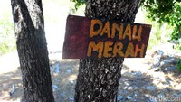 Sebuah papan penanda bertuliskan Danau Merah nampak dipasang di salah satu batang pohon untuk memudahkan pengunjung yang hendak datang ke danau tersebut.