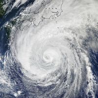 NASA Rekam Seramnya Topan Hagibis dari Angkasa