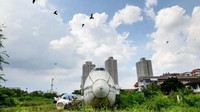 Bangkai pesawat ini terparkir di sebuah halaman besar. Rumput-rumput panjang, ban bekas, potongan logam bekas mengapit badan pesawat (AFP)