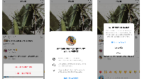 Inovasi Fitur Instagram Dari Baru Hingga Dihilangkan