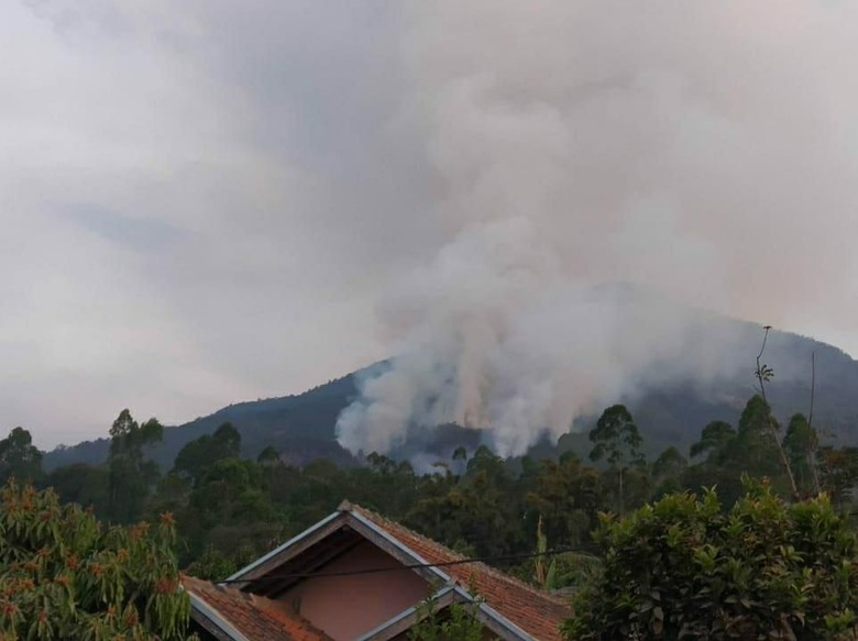 Jalur Pendakian Gunung Cikuray Garut Terbakar Jalur Pendakian Gunung Cikuray Garut Terbakar