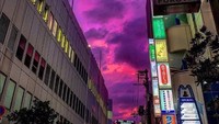 Femonema langit di Jepang menjadi pink viral di sosial media sejak Jumat (11/10) kemarin (Twitter)