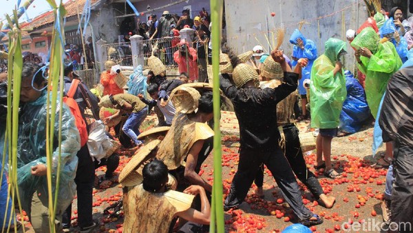 Perang tomat tidak hanya ada di Spanyol, tapi di Kabupaten Bandung Barat juga. Festival ini dapat ditemui di Desa Cikidang. (Yudha/detikcom)