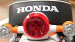 Motor Mungil Monyet Berkelir MotoGP