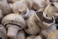 Dua Kali Seminggu Makan Jamur, Pria Bisa Terhindar dari Kanker Prostat
