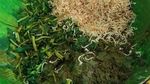 Lagi Galau? Sarapan Saja Burbacek yang Gurih Enak Tak Karuan