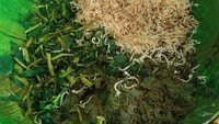 Rumba atau rumbah adalah campuran sayuran tauge, kangkung dan semanggi yang dijadikan topping burbacek dengan urap kelapa. Foto : Instagram @ayuwahyuni_tn22