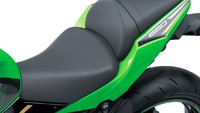 Soal banderol harga motor ini dikatakan akan dibanderol sekitar 6.500 poundsterling (Rp 116 jutaan) di Inggris. Foto: Kawasaki