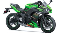 Soal tenaga, dikatakan motor listrik ini akan mampu berlari hingga 27 tenaga kuda.  Foto: Kawasaki