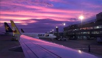 Banyak netizen yang membagikan foto langit di Jepang berwarna pink lewat hastag #savejapan (Twitter)