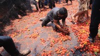 Tak sungkan para warga saling lempar tomat satu sama lain yang telah dibagikan ke dalam sejumlah keranjang, mereka terbagi menjadi dua kubu layaknya sedang berseteru.