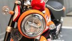 Motor Mungil Monyet Berkelir MotoGP