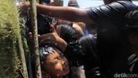 Tak hanya orang dewasa, anak-anak pun ikut ambil bagian dalam perang tomat ini. Aksi lempar melempar tomat ini berlangsung selama kurang lebih 15 menit. (Yudha/detikcom)