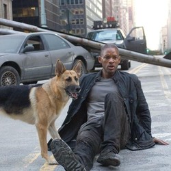 Ini Adegan I Am Legend yang Bikin Penonton Tinggalkan Bioskop