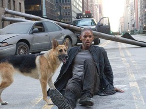 Buah Simalakama I Am Legend 2