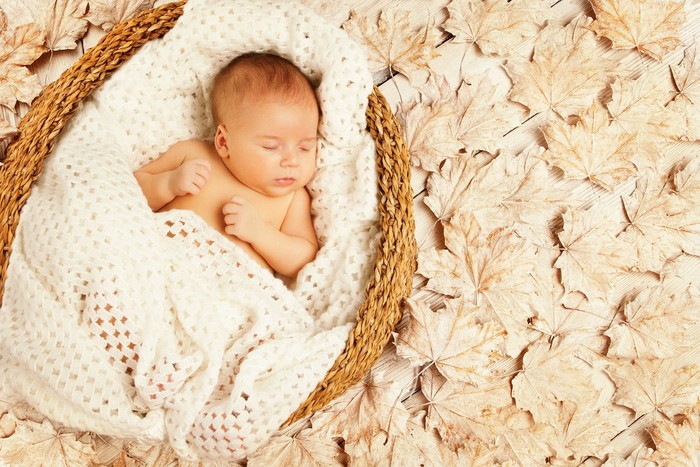 Ilustrasi bayi Baby Sleep in Autumn Leaves, New Born Kid Asleep on Decorated Background, Newborn One Month Old
