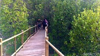 Jembatan ini menjadi sarana utama pengunjung dalam berkeliling menikmati keindahan alam hutan mangrove Rewataa. (Foto: Abdy Febriady/detikcom)