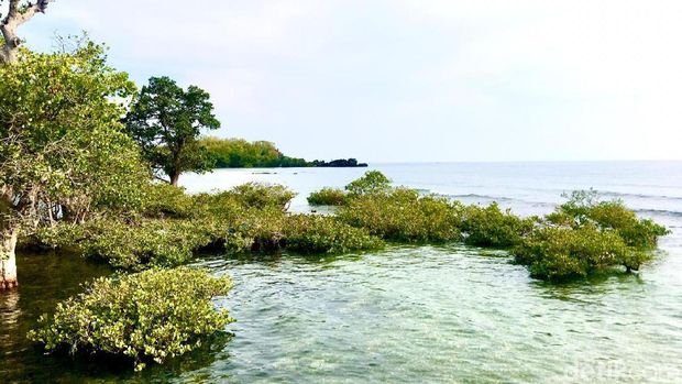 Kenalan dengan Rewata'a, si Cantik dari Majene