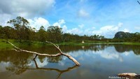 Di sekitar Danau Fonhae di kelilingi oleh pohon cemara dan pinus sehingga membuat danau ini menampilkan pemandangan yang menakjubkan. Danau dengan lanskap Fatunausus ini sering dijuluki surga kecilnya di kaki Fatunausus. (Beautiful Timore/dtraveler)