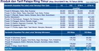 Tol Langit Palapa Ring Jokowi Diluncurkan, Ini Tarifnya