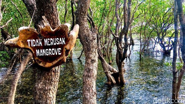 Kenalan dengan Rewata'a, si Cantik dari Majene