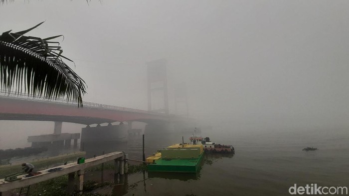 Sumsel Diselimuti Kabut Asap, Walhi: Penegak Hukum Tak Serius