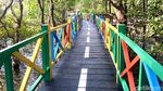 Foto: Rewataa, Hutan Mangrove Kaya Pesona di Sulawesi Barat