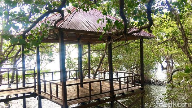 Kenalan dengan Rewata'a, si Cantik dari Majene