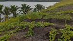 Foto: Penampakan Kapak Zaman Purba di Papua