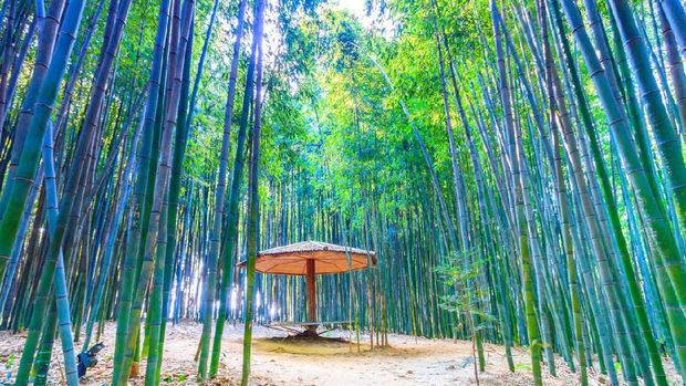 10 Hal Wajib Dilakukan Saat Wisata di Korea Selatan