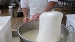 Yuk, Intip Proses Pembuatan Keju Mozzarella Italia yang Autentik!