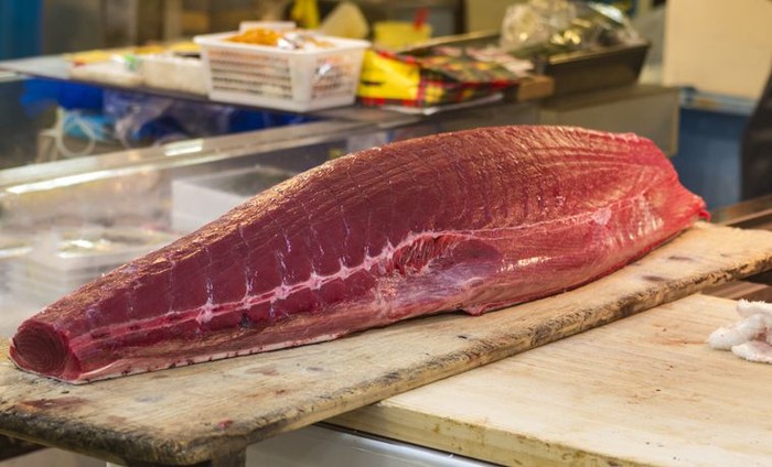 Bluefin tuna dari pulau kecil di Italia