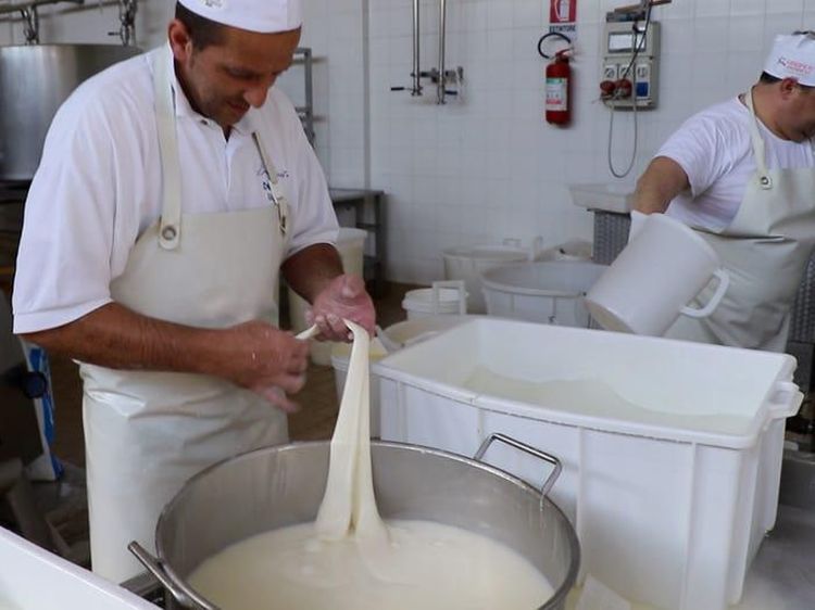 Yuk, Intip Proses Pembuatan Keju Mozzarella Italia yang Autentik!