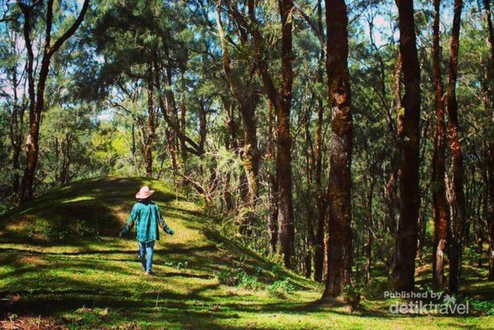 Kabupaten Timor Tengah Selatan