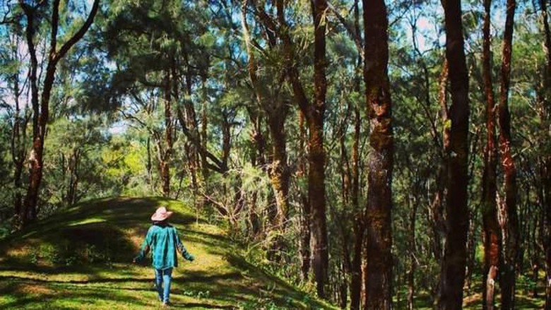 Kabupaten Timor Tengah Selatan Kabupaten Timor Tengah Selatan