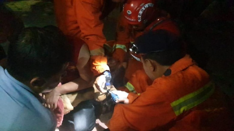 Anjing Terlilit Rantai, Tedi Lapor Petugas Damkar